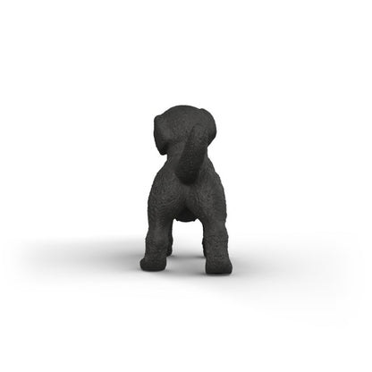 Zvířátko - Černé štěně labradorského retrívra