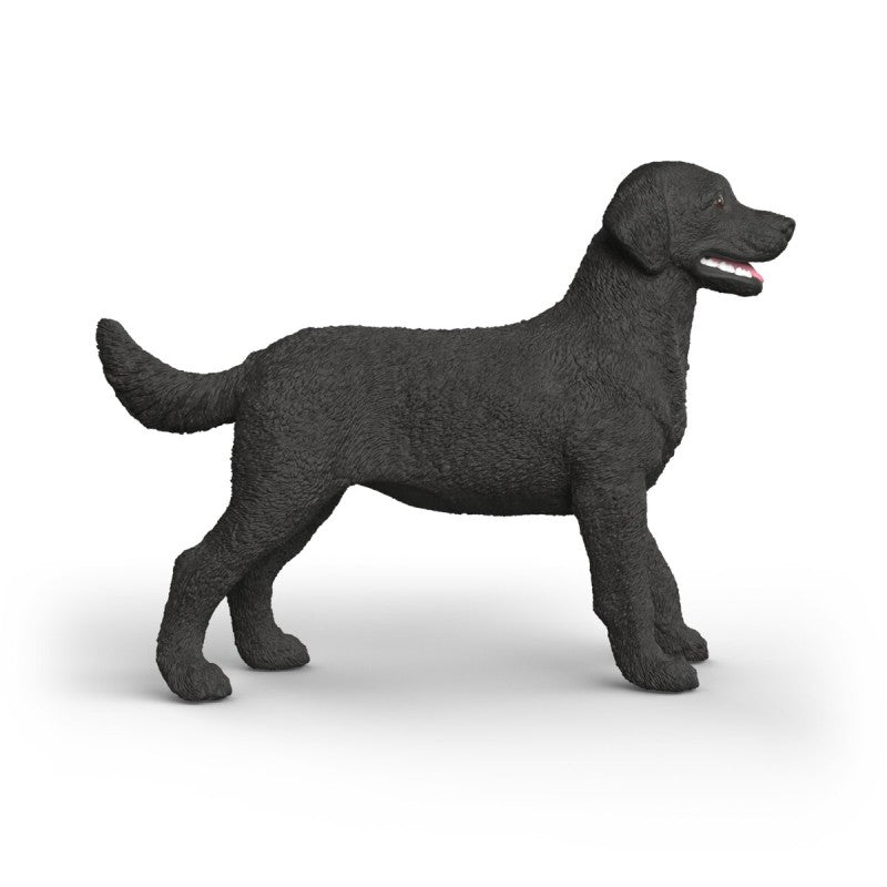 Zvířátko - Černá fena labradorského retrívra