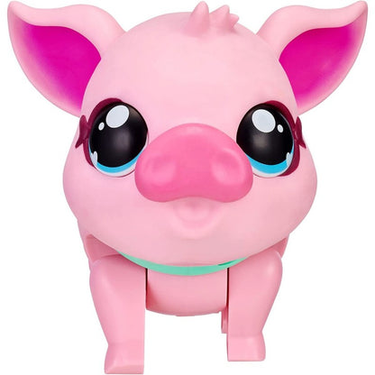 Little Live Pets prasátko PIGGLY