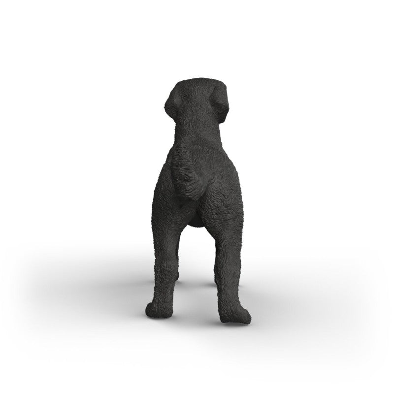 Zvířátko - Černá fena labradorského retrívra