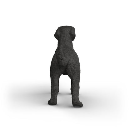 Zvířátko - Černá fena labradorského retrívra
