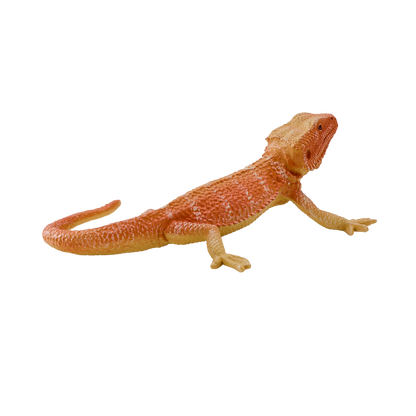 Agama vousatá figurka