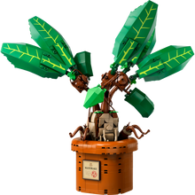 LEGO® Harry Potter™ 76433 Mandragora