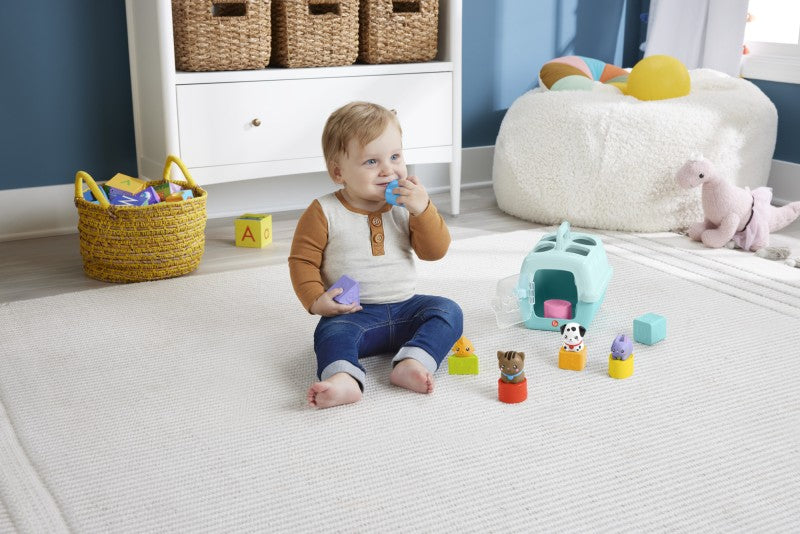 Fisher Price vkládačka se zvířátky